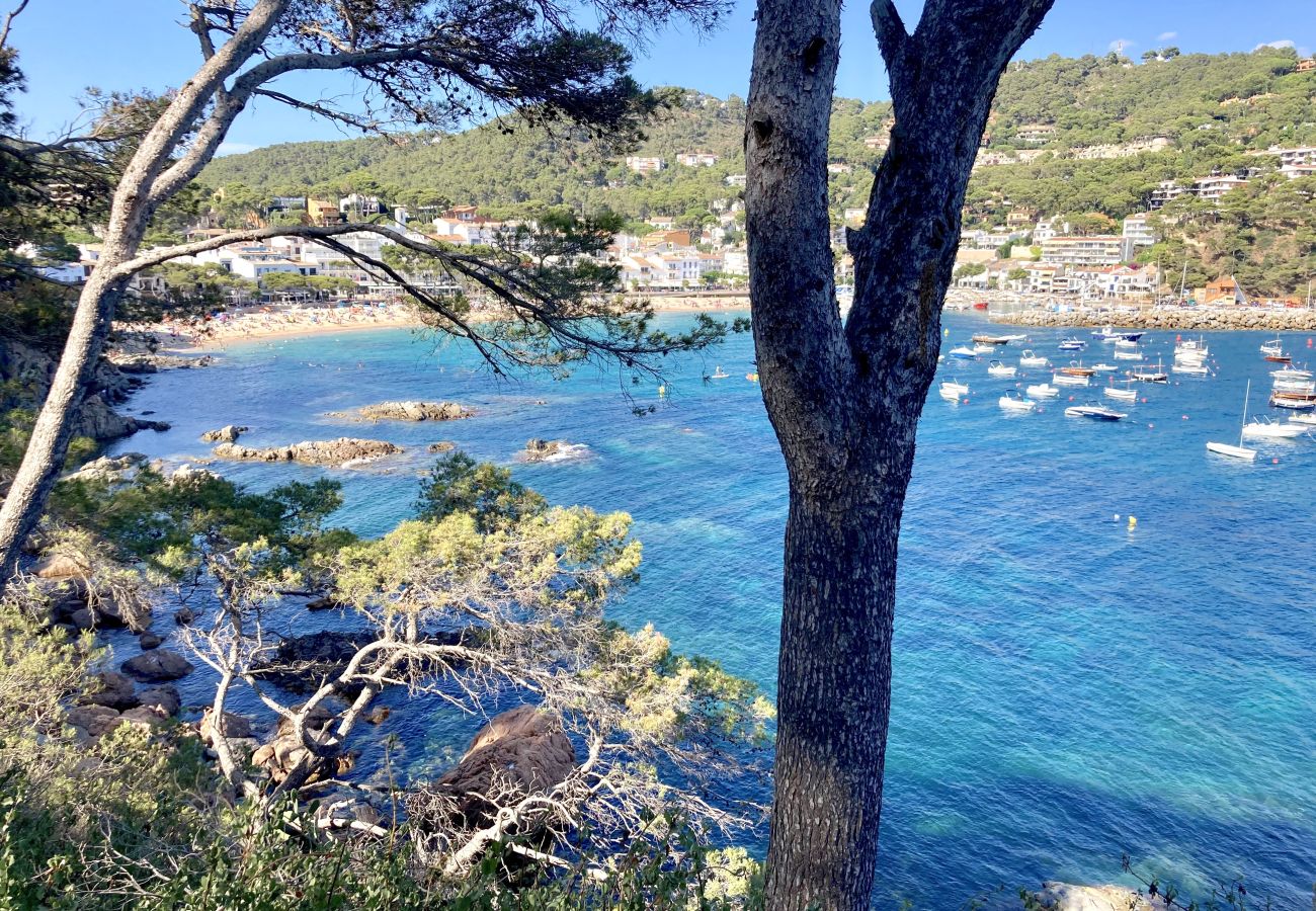 Villa in Llafranc - 1PAST 02 - Magnificent house with communal swimming pool in Llafranc, only 450m away from the beach