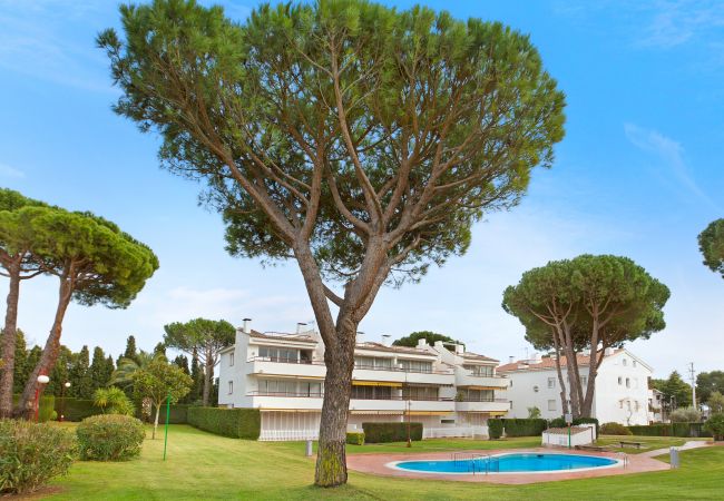 Apartment in Calella de Palafrugell - Calella Park 13-A - Apartment with pool near the beach of Llafranc