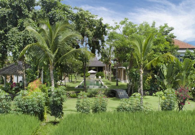 Villa in Kerobokan - Alea Estate- Spectacular villa for 18 people with pool in Bali