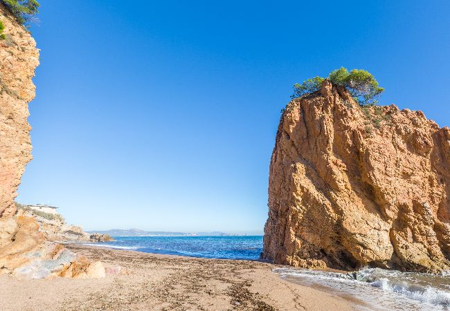 Appartement à Pals - 1ARCH1 Appartement très simple situé à Playa de Pals, à 150 mètres de la plag Appartement à Pals - 1ARCH1 Appartement très simple situé à Playa de Pals, à 150 mètres de la plag