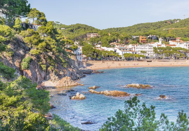 Appartement à Calella de Palafrugell - 1CB - E4 Appartement entièrement rénové avec piscine et jardin situé proche de la plage de Calella de Palafrugell Appartement à Calella de Palafrugell - 1CB - E4 Appartement entièrement rénové avec piscine et jardin situé proche de la plage de Calella de Palafrugell