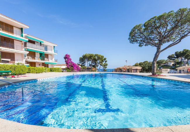 Appartement à Calella de Palafrugell - 1CV - Appartement confortable avec piscine commune à seulement 200m de la plage de Calella de Palafrugell Appartement à Calella de Palafrugell - 1CV - Appartement confortable avec piscine commune à seulement 200m de la plage de Calella de Palafrugell