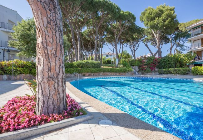 Appartement à Calella de Palafrugell - 1CV - Appartement confortable avec piscine commune à seulement 200m de la plage de Calella de Palafrugell Appartement à Calella de Palafrugell - 1CV - Appartement confortable avec piscine commune à seulement 200m de la plage de Calella de Palafrugell