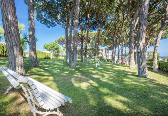 Appartement à Calella de Palafrugell - 1CV - Appartement confortable avec piscine commune à seulement 200m de la plage de Calella de Palafrugell Appartement à Calella de Palafrugell - 1CV - Appartement confortable avec piscine commune à seulement 200m de la plage de Calella de Palafrugell
