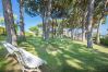 Appartement à Calella de Palafrugell - 1CV - Appartement confortable avec piscine commune à seulement 200m de la plage de Calella de Palafrugell Appartement à Calella de Palafrugell - 1CV - Appartement confortable avec piscine commune à seulement 200m de la plage de Calella de Palafrugell