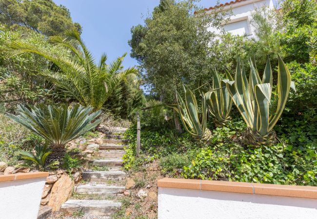 Villa à Tamariu - 1DIAZ 01 - Villa avec piscine privative et jardin situé à Aigua Xelida (Tamariu), à 1 km du centre-ville et de la plage Villa à Tamariu - 1DIAZ 01 - Villa avec piscine privative et jardin situé à Aigua Xelida (Tamariu), à 1 km du centre-ville et de la plage