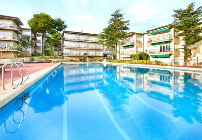 Appartement à Calella de Palafrugell - 1MG G2 - Appartement basique avec piscine commune situé à 400m de la plage de Calella de Palafrugell Appartement à Calella de Palafrugell - 1MG G2 - Appartement basique avec piscine commune situé à 400m de la plage de Calella de Palafrugell