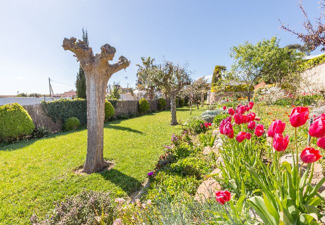 Villa à Blanes - 2MG01 - Maison pour 6 personnes avec jardin et piscine privée située près de la plage de Blanes Villa à Blanes - 2MG01 - Maison pour 6 personnes avec jardin et piscine privée située près de la plage de Blanes