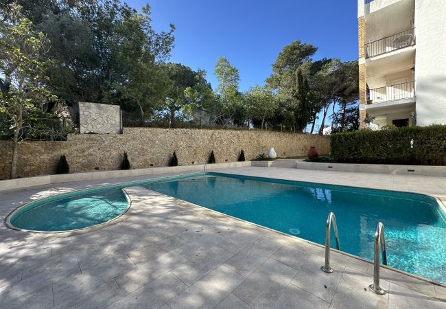 Appartement à Llafranc - 1OREN 01 - Appartement simple avec piscine commune situé à quelques minutes à pied de la plage de Llafranc Appartement à Llafranc - 1OREN 01 - Appartement simple avec piscine commune situé à quelques minutes à pied de la plage de Llafranc