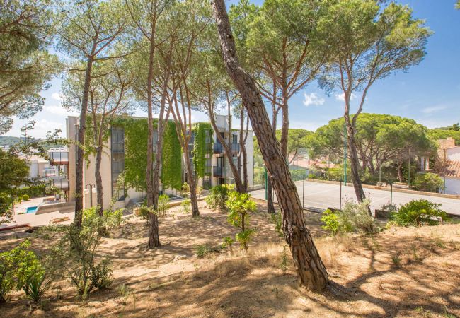Appartement à Calella de Palafrugell - 1PINEDA 01 - Appartement accueillantt pour 4 personnes  situé à quelques minutes à pied de la plage de Calella de Palafrugell Appartement à Calella de Palafrugell - 1PINEDA 01 - Appartement accueillantt pour 4 personnes  situé à quelques minutes à pied de la plage de Calella de Palafrugell