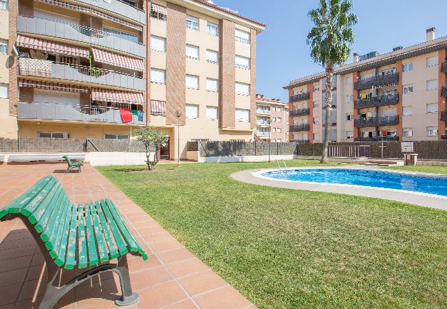 Appartement à Lloret de Mar - 2ROS01 -Appartement de 3 chambres avec piscine situé près de la plage de Fenals (Lloret de Mar)