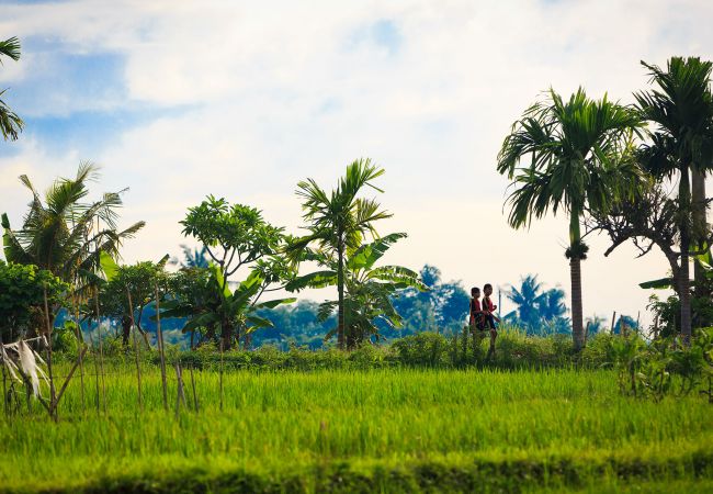 Villa à Mengwi - Maridadi 