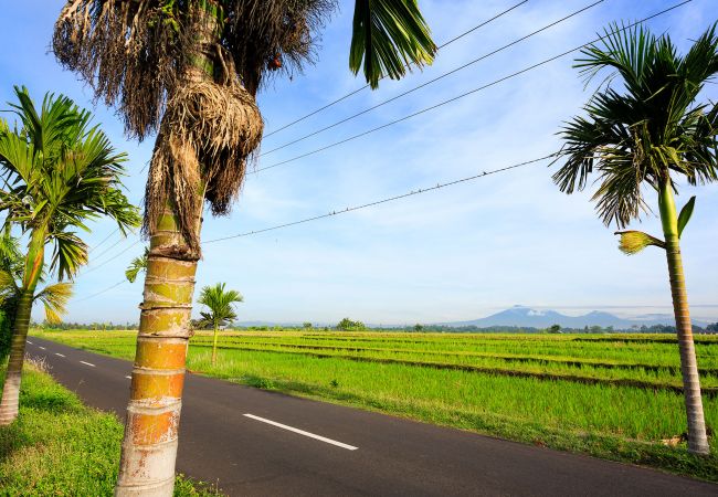 Villa à Mengwi - Maridadi 