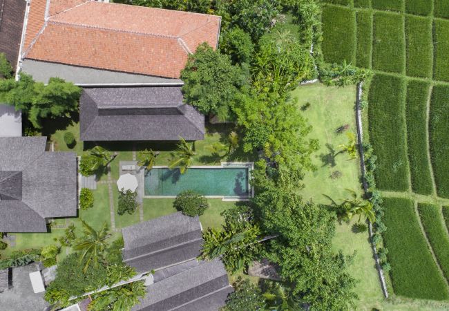 Villa à Kerobokan - Alea Estate - Maison spectaculaire pour 18 personnes avec piscine à Bali